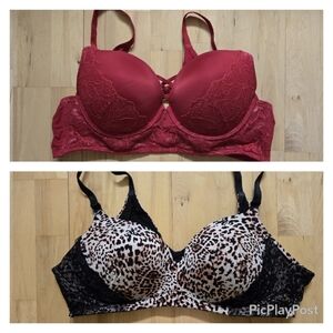 Torrid Bra Bundle